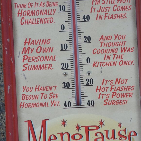 Vintage MenoPauseMeter Metal Thermometer with Mounting Holes and Screws - Picture 6 of 11